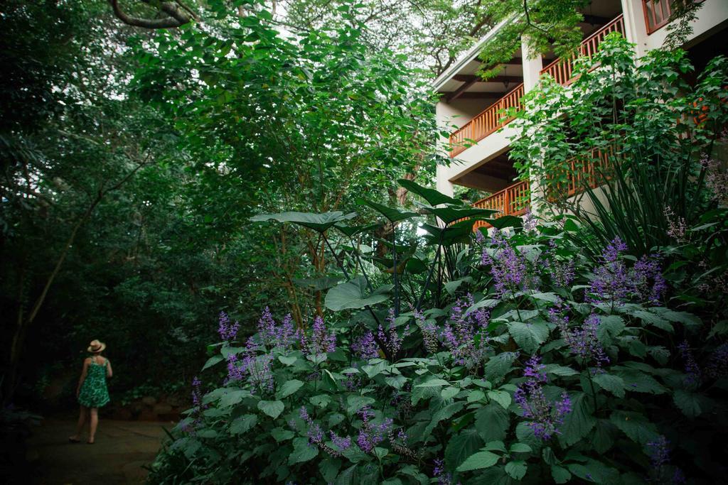 Honeywood Forest Lodge Порт-Шепстон Экстерьер фото